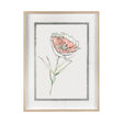 Dianthus II by Panpan Zhang a Framed Art Print Matted under Glass by Mercana at Eve Furniture