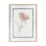 Dianthus II by Panpan Zhang a Framed Art Print Matted under Glass by Mercana at Eve Furniture