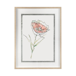 Dianthus II by Panpan Zhang a Framed Art Print Matted under Glass by Mercana at Eve Furniture
