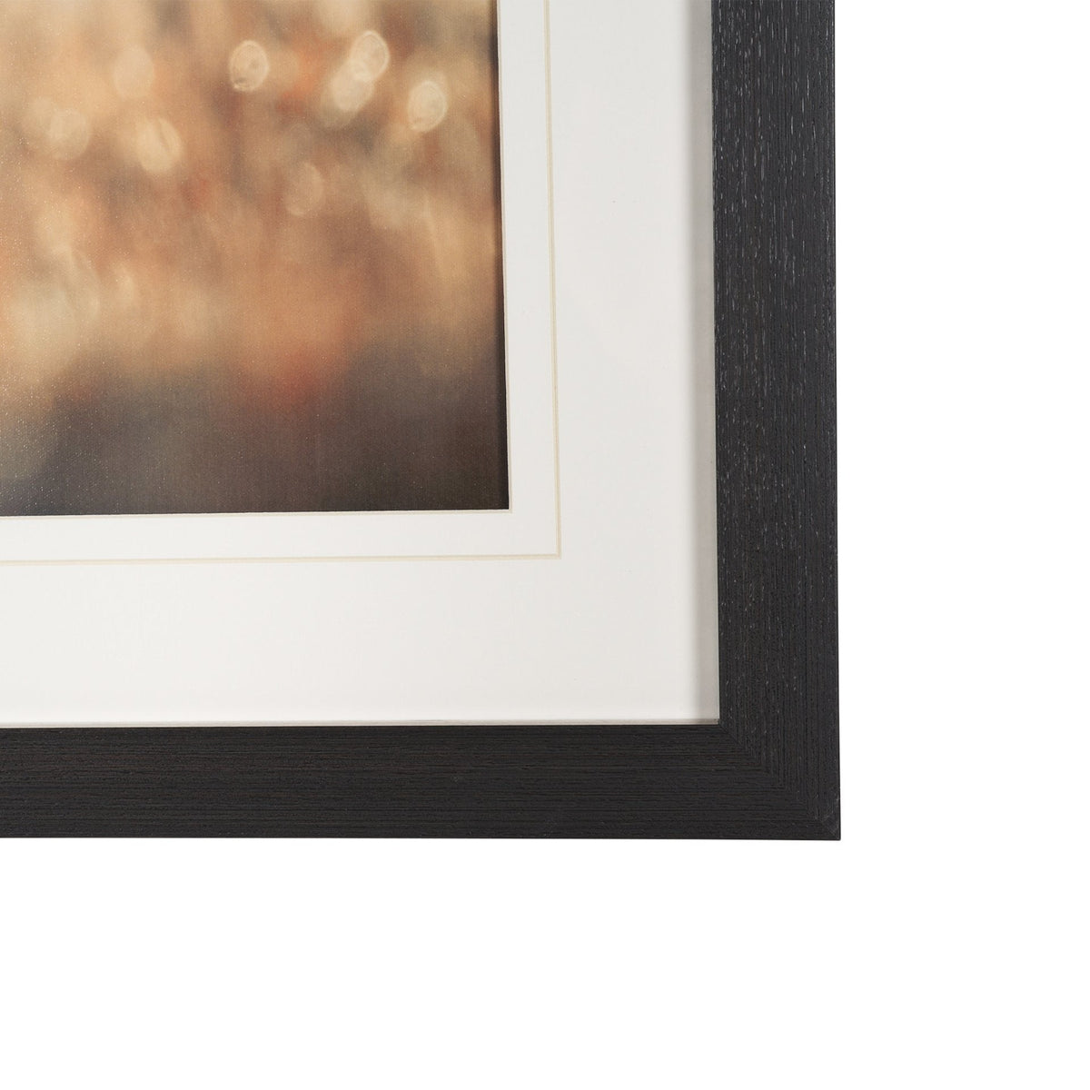 Distant Duo by Andreas Stridsberg Framed Photo Print Matted under Glass by Mercana at Eve Furniture