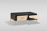Divolia Black and Grey Coffee Table by New Era Innovations at Eve Furniture