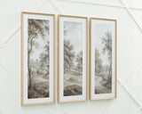 Dixonburg Taupe/Gray Wall Art, Set of 3 by Ashley at Eve Furniture