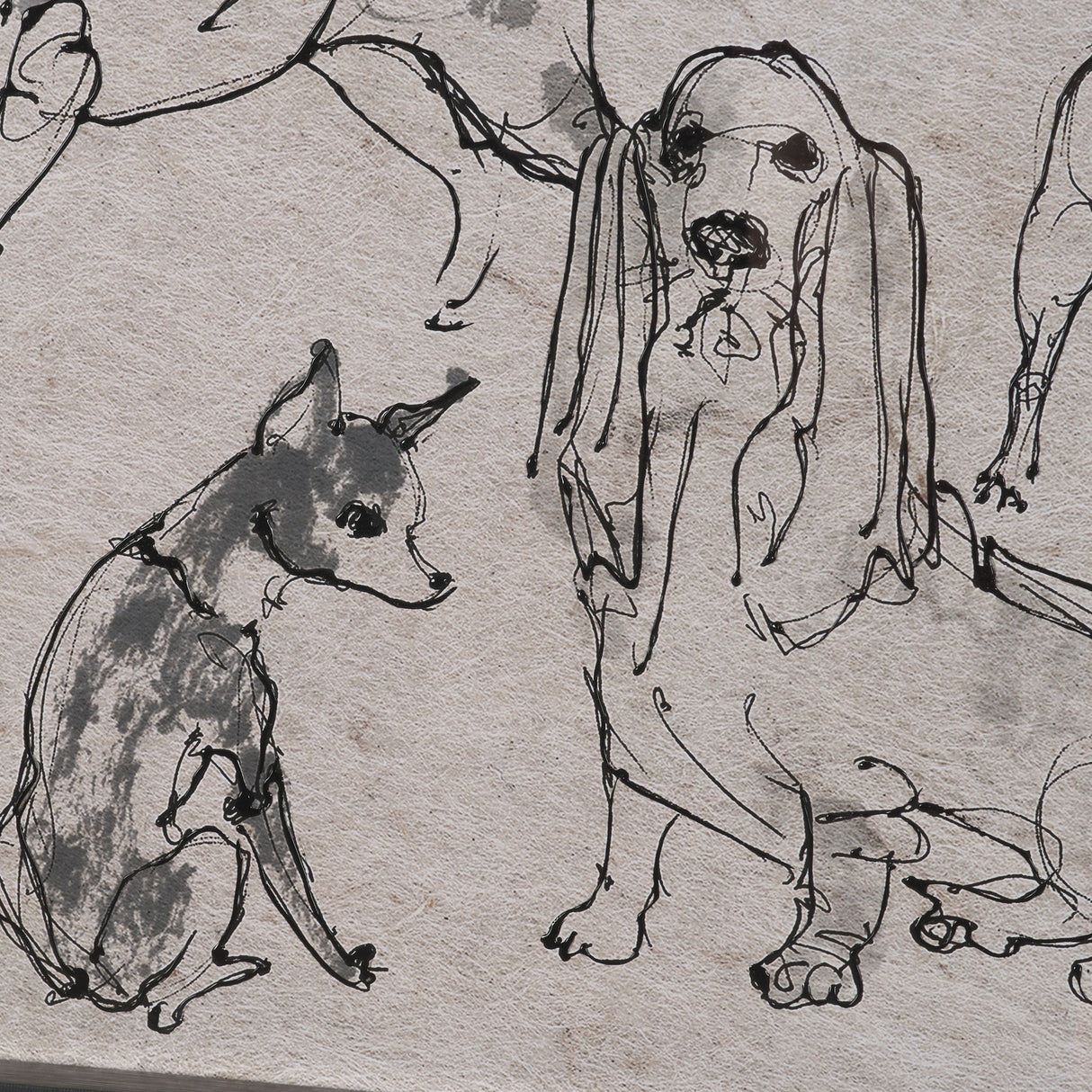 Dog Sketches II by Mercana Studio Hand Embelished Framed Artwork Matted under Glass by Mercana at Eve Furniture