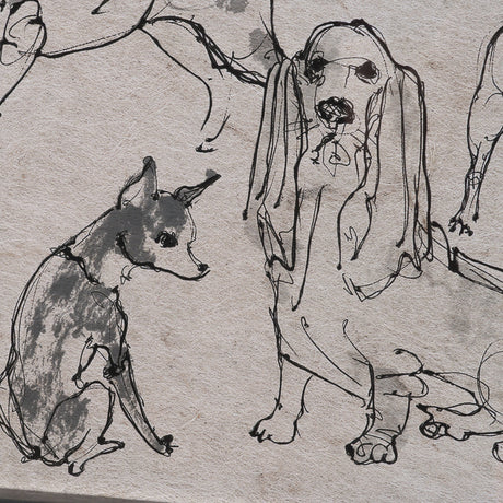 Dog Sketches II by Mercana Studio Hand Embelished Framed Artwork Matted under Glass by Mercana at Eve Furniture