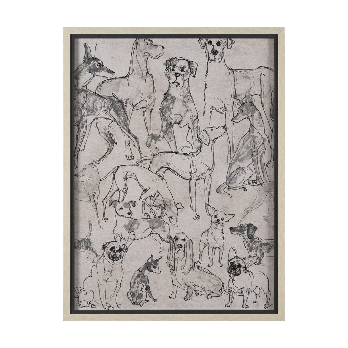 Dog Sketches II by Mercana Studio Hand Embelished Framed Artwork Matted under Glass by Mercana at Eve Furniture