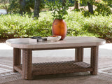 Dolan Creek Beige/Brown Rectangular Cocktail Table by Ashley at Eve Furniture