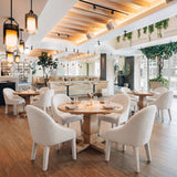 Domo Ivory Dining Chair by Zuomod at Eve Furniture