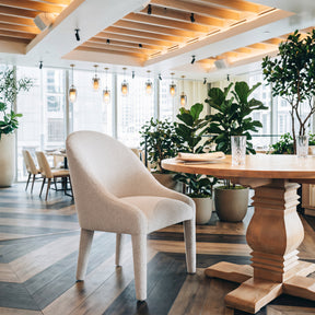 Domo Ivory Dining Chair by Zuomod at Eve Furniture