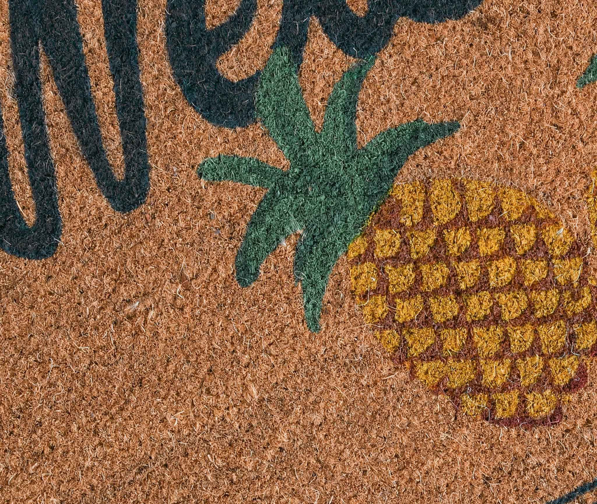 Doormat Two Brown Pineapples Doormat by Classic Home at Eve Furniture