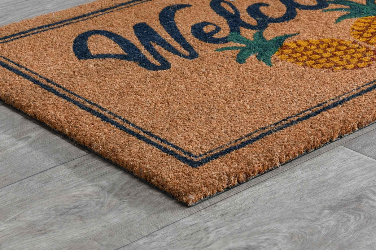 Doormat Two Brown Pineapples Doormat by Classic Home at Eve Furniture