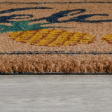 Doormat Two Brown Pineapples Doormat by Classic Home at Eve Furniture