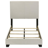 Dorian Cream Upholstered Twin Panel Bed by Coaster at Eve Furniture