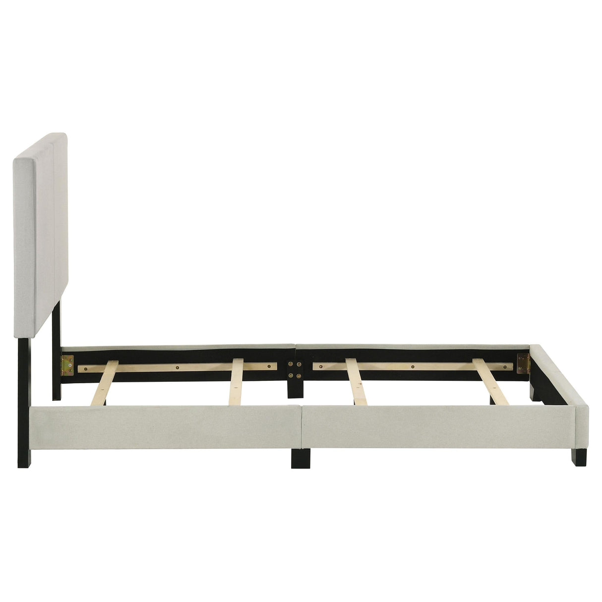 Dorian Cream Upholstered Twin Panel Bed by Coaster at Eve Furniture