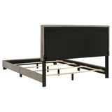 Dorian Taupe Upholstered Queen Panel Bed by Coaster at Eve Furniture