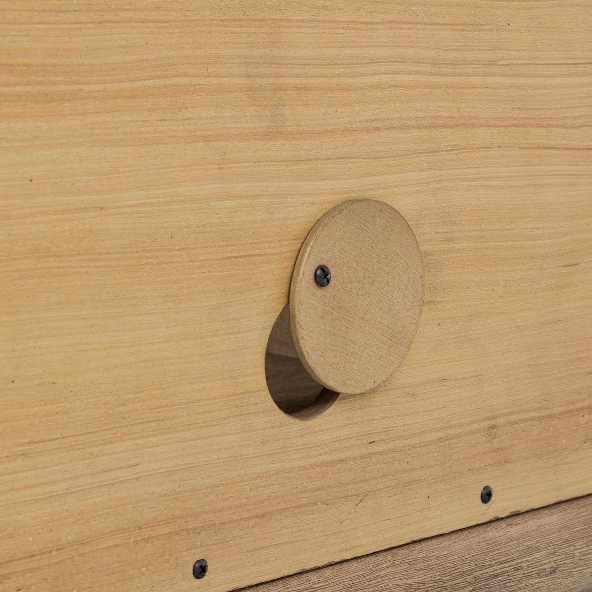 Dorsey Granola 64W Entertainment Console by Modus Furniture at Eve Furniture