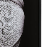 Double Dribble Black Wall Art by Crestview at Eve Furniture