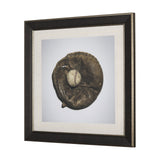 Double Play IV by Mercana Studio a Hand Embellished Textured Framed Photo Art Print Matted under Gla by Mercana at Eve Furniture