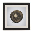 Double Play IV by Mercana Studio a Hand Embellished Textured Framed Photo Art Print Matted under Gla by Mercana at Eve Furniture