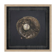 Double Play VIII by Mercana Studio Textured Framed Art Print Matted under Glass by Mercana at Eve Furniture