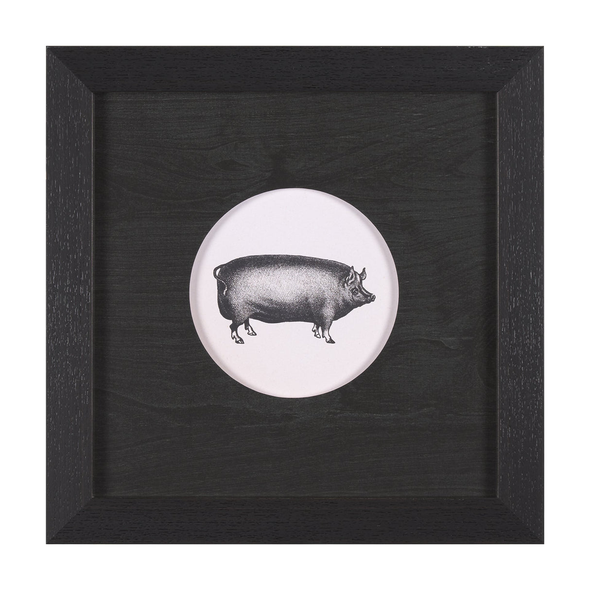 Down On The Farm III by Wild Apple Portfolio a Framed Art Print Matted under Glass by Mercana at Eve Furniture
