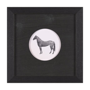Down On The Farm IV by Wild Apple Portfolio a Framed Art Print Matted under Glass by Mercana at Eve Furniture