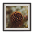 Down to Earth by Stig Kalvelid a Hand Embellished Framed Photo Art Print Matted under Glass by Mercana at Eve Furniture