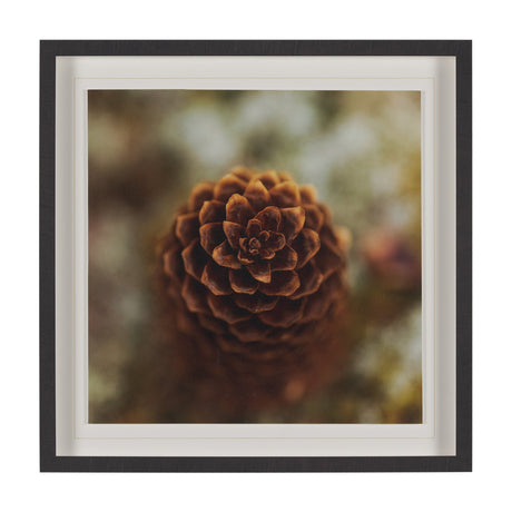 Down to Earth by Stig Kalvelid a Hand Embellished Framed Photo Art Print Matted under Glass by Mercana at Eve Furniture