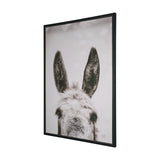 Downward Facing Donkey Sepia by Nathan Larson Textured Framed Canvas Photo Print by Mercana at Eve Furniture