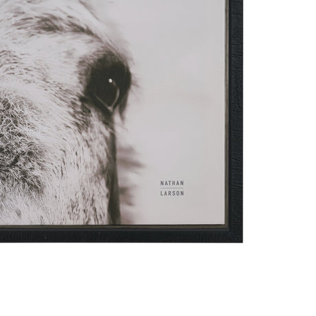 Downward Facing Donkey Sepia by Nathan Larson Textured Framed Canvas Photo Print by Mercana at Eve Furniture