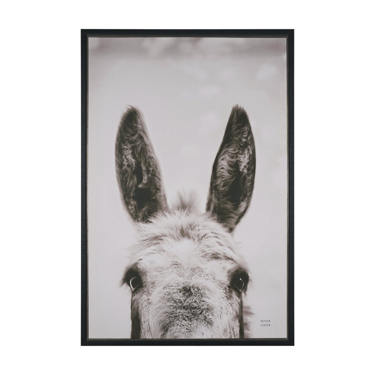 Downward Facing Donkey Sepia by Nathan Larson Textured Framed Canvas Photo Print by Mercana at Eve Furniture
