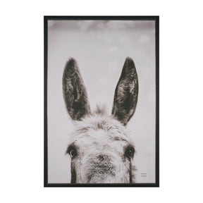 Downward Facing Donkey Sepia by Nathan Larson Textured Framed Canvas Photo Print by Mercana at Eve Furniture