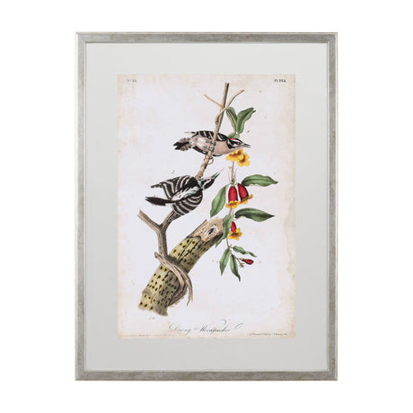 Downy Woodpecker by John James Audubon a Framed Art Print Matted under Glass by Mercana at Eve Furniture