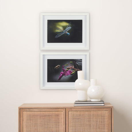 Dragon Fly by Mercana Studio a Framed Photo Art Print Matted under Glass by Mercana at Eve Furniture