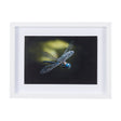 Dragon Fly by Mercana Studio a Framed Photo Art Print Matted under Glass by Mercana at Eve Furniture