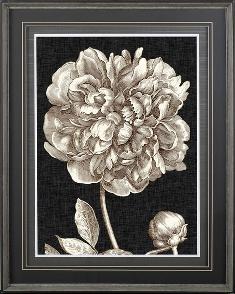 Dramatic Peony I by Vision Studio a Hand Embellished Textured Framed Art Print Matted under Glass by Mercana at Eve Furniture