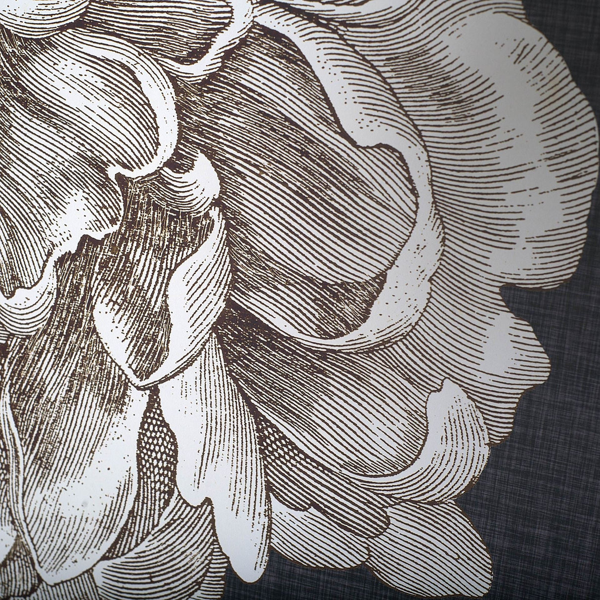 Dramatic Peony I by Vision Studio a Hand Embellished Textured Framed Art Print Matted under Glass by Mercana at Eve Furniture