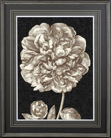 Dramatic Peony II by Vision Studio a Hand Embellished Textured Framed Art Print Matted under Glass by Mercana at Eve Furniture