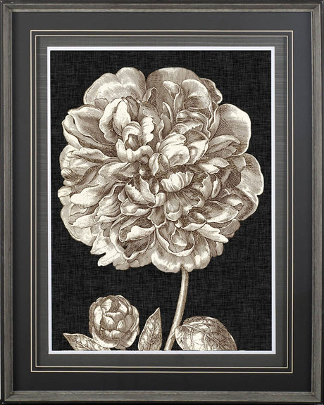 Dramatic Peony II by Vision Studio a Hand Embellished Textured Framed Art Print Matted under Glass by Mercana at Eve Furniture