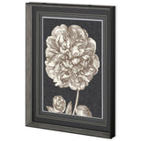 Dramatic Peony II by Vision Studio a Hand Embellished Textured Framed Art Print Matted under Glass by Mercana at Eve Furniture