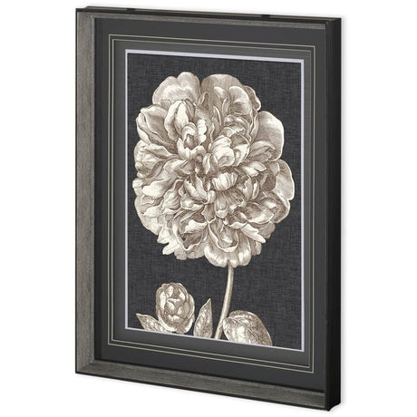 Dramatic Peony II by Vision Studio a Hand Embellished Textured Framed Art Print Matted under Glass by Mercana at Eve Furniture