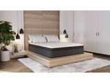 Dreamstage 2.0 Gilded Quilted 14" Plush Queen Mattress by Diamond Mattress at Eve Furniture