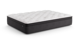 Dreamstage 2.0 Gilded Quilted 14" Plush Twin Mattress by Diamond Mattress at Eve Furniture