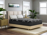 Dreamstage 2.0 Timeless Hybrid 14" Plush King Mattress