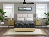 Dreamstage 2.0 Timeless Hybrid 14" Plush Twin Mattress