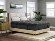 Dreamstage 2.0 Timeless Quilted 15" Medium Twin XL Mattress by Diamond Mattress at Eve Furniture