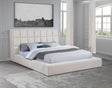 Dreux Cream Upholstered Queen Panel Platform Bed by Coaster at Eve Furniture