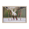 Drink Together by Mercana Studio a Hand Embellished Textured Framed Photo Art Print by Mercana at Eve Furniture