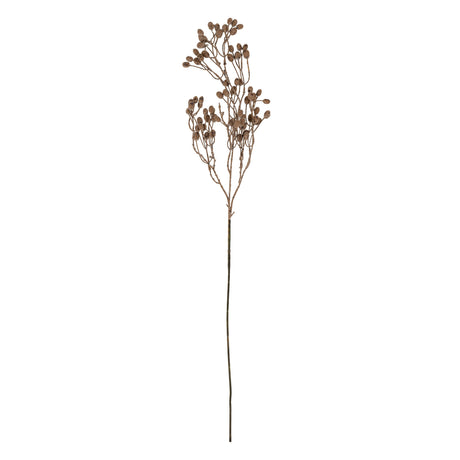 Dripping Dried Berry Branch, Set of 12 by Mercana at Eve Furniture