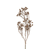 Dripping Dried Berry Branch, Set of 12 by Mercana at Eve Furniture