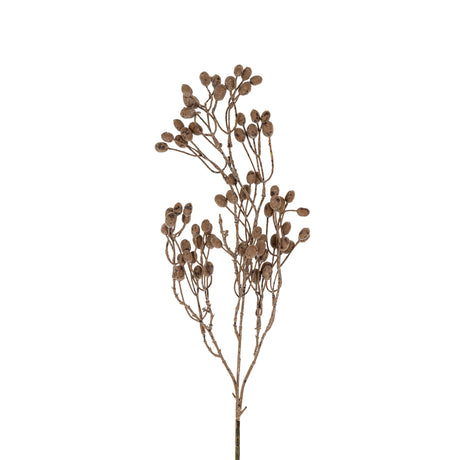 Dripping Dried Berry Branch, Set of 12 by Mercana at Eve Furniture